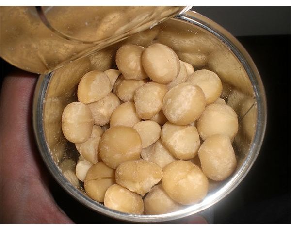 macadamia