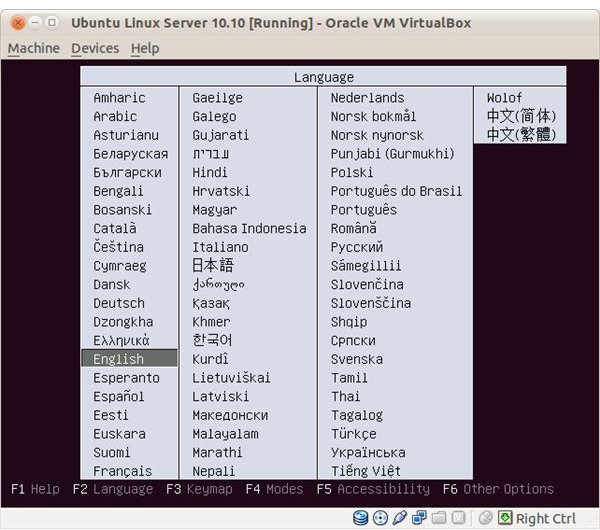 Ubuntu Linux Server Beginners Guide