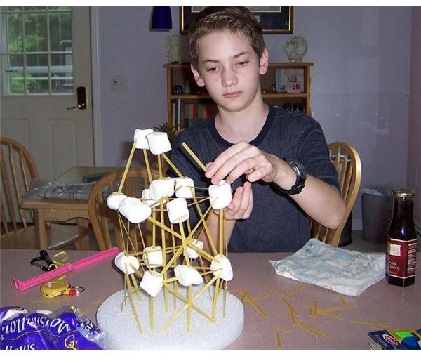 A homeschooling science project