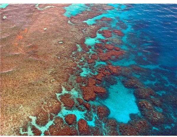 The Great Barrier Reef: Its Description, Residents and Struggles