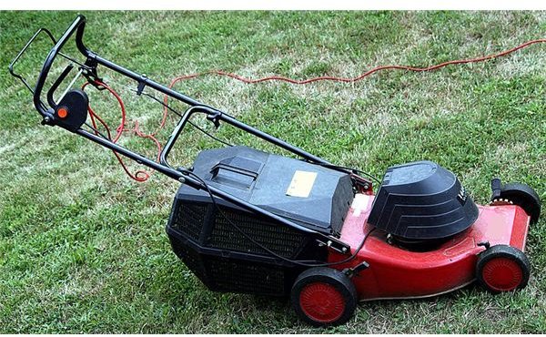 Tips on Starting a Lawn Mowing Business for Teens
