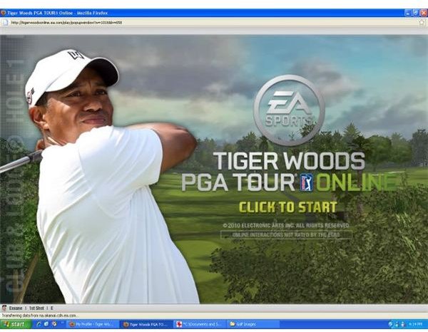 Tiger Woods Online