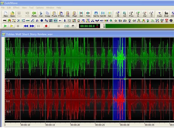 Using GoldWave: Basic Tips and Tricks for Using GoldWave