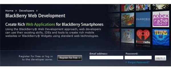 Blackberry Web Development