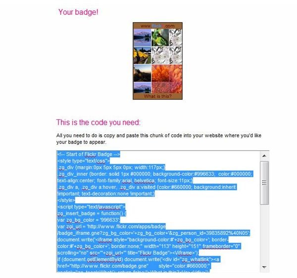 Copy and paste the code to add your Flickr badge to your site.
