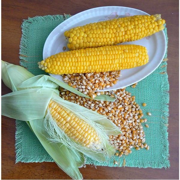 593px-Corn-raw-boiled-and-dry