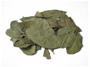 Cooking With Bay Leaves: Tips to Wake Up the Flavor of Bay Leaf and Your Dishes