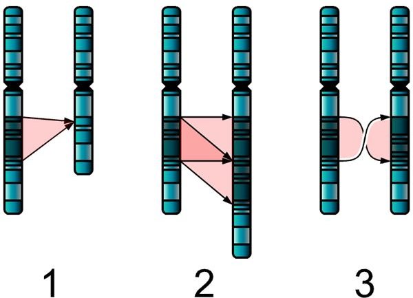 latest research on causes of autism