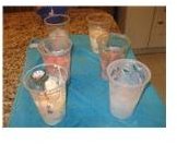 Ice Cubes and Ice Cream Science Project