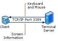 What is the Difference Between a Terminal Server and a Virtual Desktop?