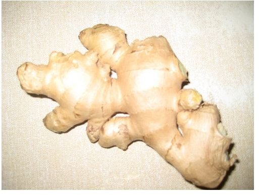 Ginger Root