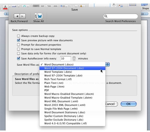 word x for mac docx