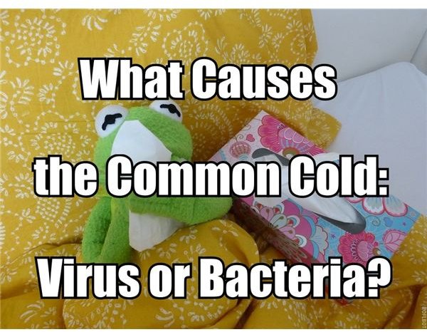 is-there-a-cure-for-the-common-cold-are-colds-caused-by-viruses-or