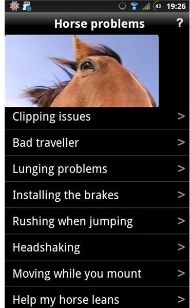 Horse Problems