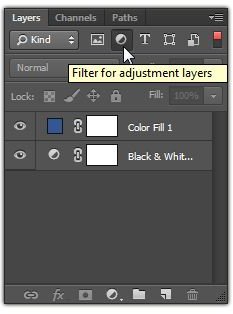 Filter by Layer Type