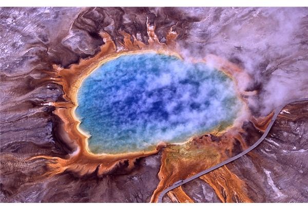 Archaea Bacteria Overview and a Description of Archaea Cells