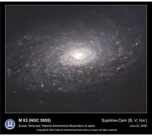 Spiral Galaxy NGC 5055 (M63) The Sunflower Galaxy