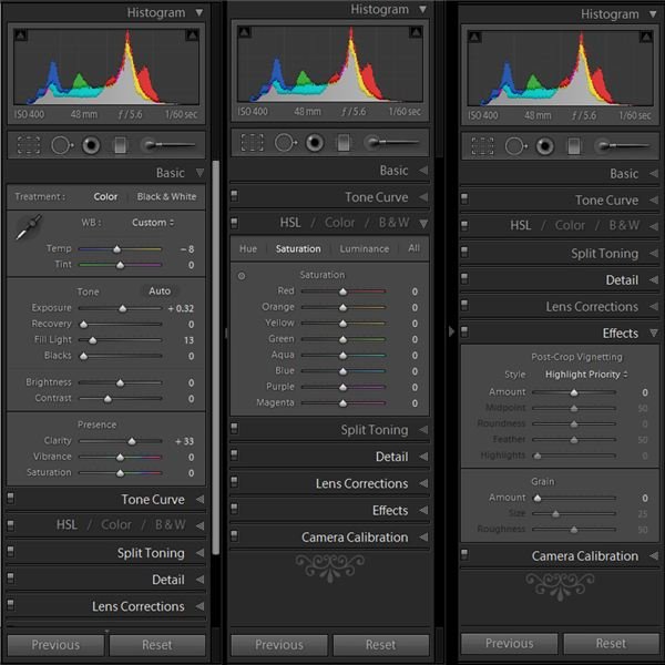 How to Use Lightroom: Develop Adjustment Palettes