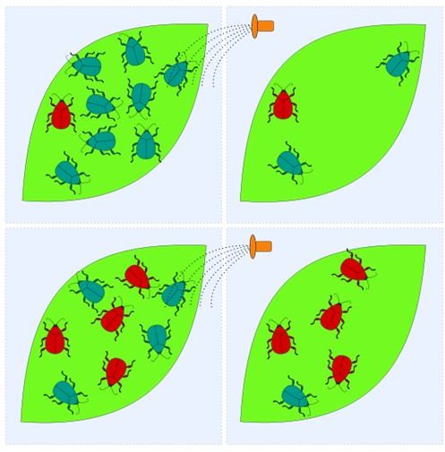 Pesticide Resistance in Insects