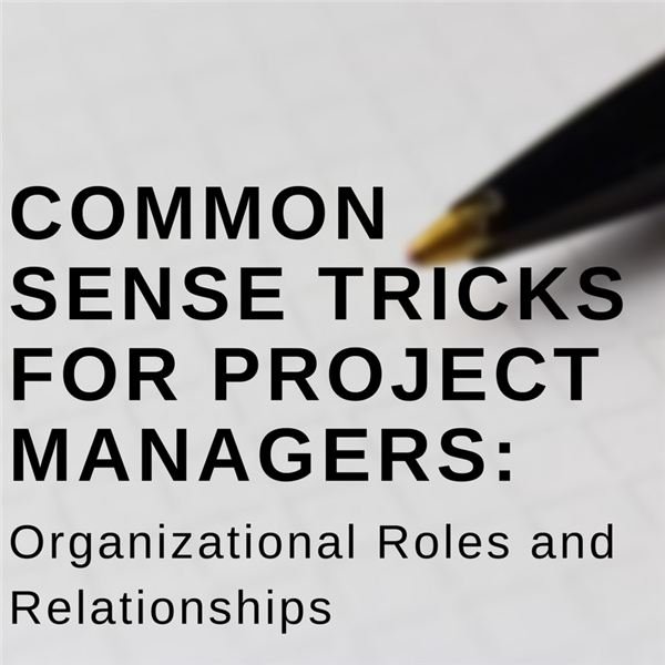 Tips for Project Managers: Analyzing Roles and Relationships
