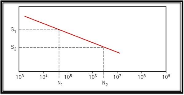 Stress Amplitude