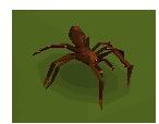 Good Places to Train in Runescape: The Giant Spider Training Guide