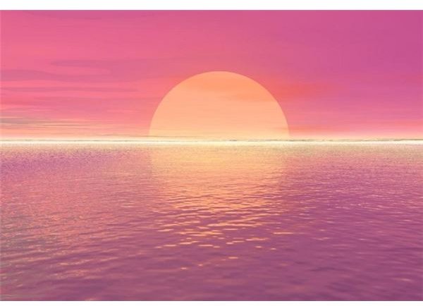 Pink Wallpaper Sunset Background