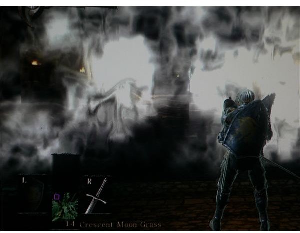 Demon’s Souls: Boletarian Palace, 1-1 walkthrough - The fog blocking the way to Phalanx.