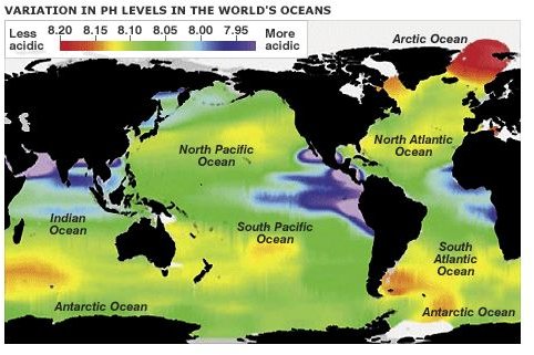 Acidification of Oceans: Explanation of How Pollution Changes the Ph Balance in Ocean Water