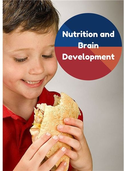 The Importance of a Healthy Diet: Nutrition and Brain Development in Kids