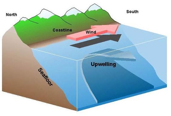 Upwelling