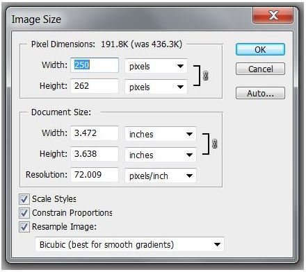 Image Size Settings