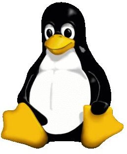Installing and Using Light-Weight Linux