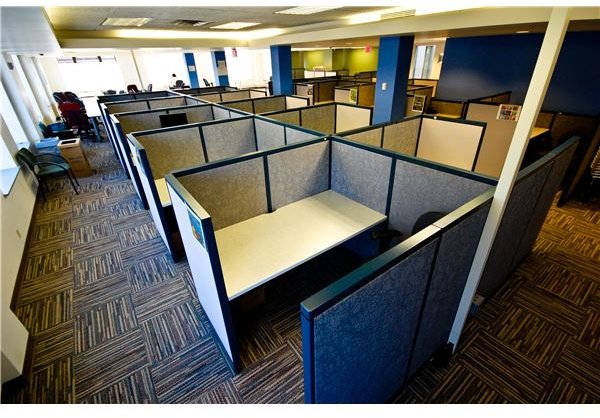 How to Manage Workers in Cubicles: A Best Practice Guide