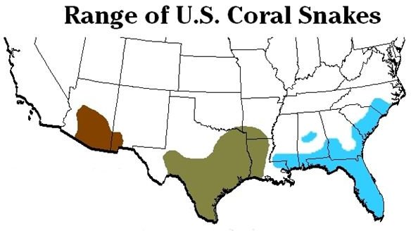 Coral Snake Facts (distribution)