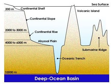 The Geology of Ocean Basins - Common Features