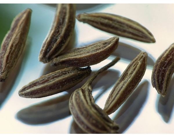 Learn the Health Benefits of Caraway Seeds & Tea