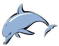 Dolphin Coloring Sheets 5 Free Resources for Creative