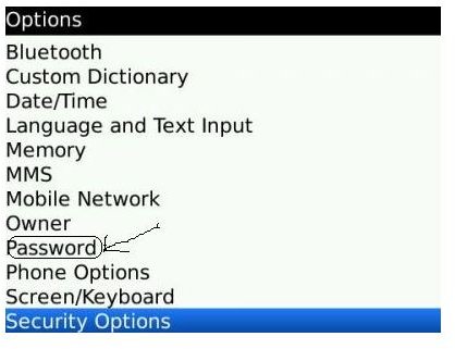 Blackberry Options password