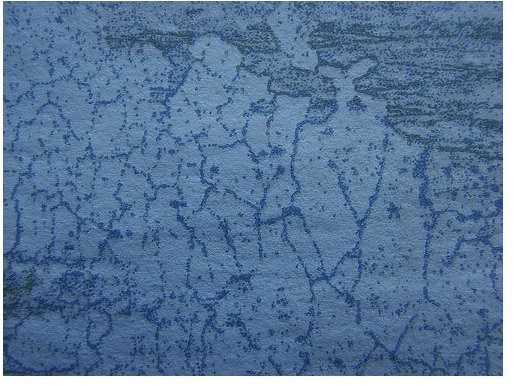 Blue Texture, Creative Commons License by Odie Odysseus