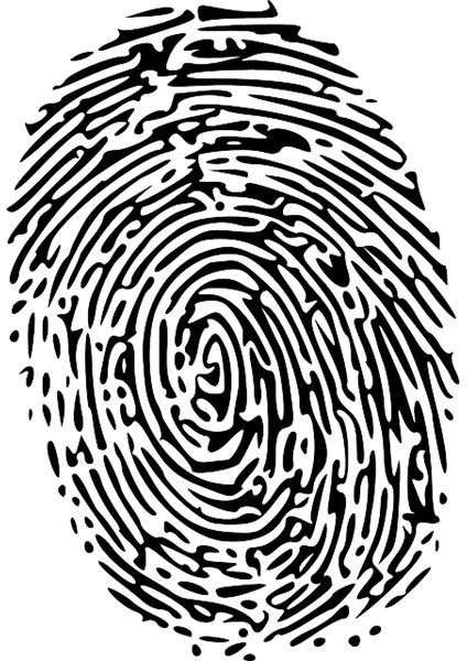 How Do Fingerprints Work? Homework Help
