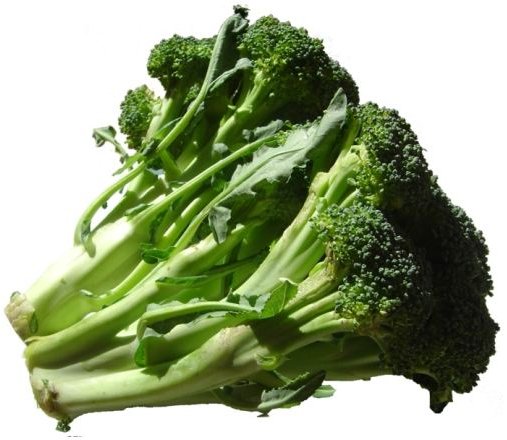 Information on Chinese Chicken and Broccoli Nutrition Facts