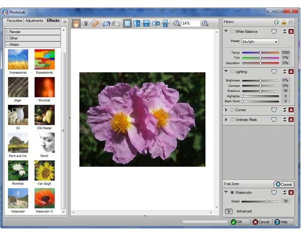 Photo Lab in Digital Scrapbook Artist 2