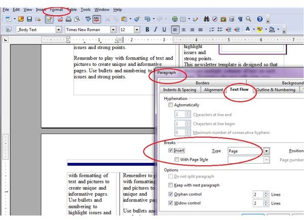 screenshot showing how to change newsleter template format on 2nd page - insert format paragraph textflow page break
