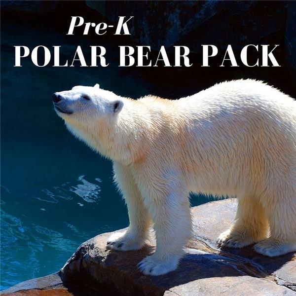 Preschool Polar Bear Lesson Ideas Films And Books As - 