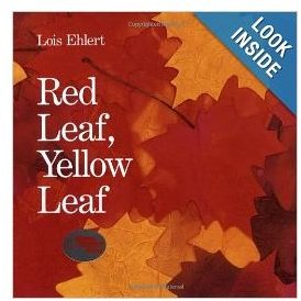 Red Leaf, Yellow Leaf