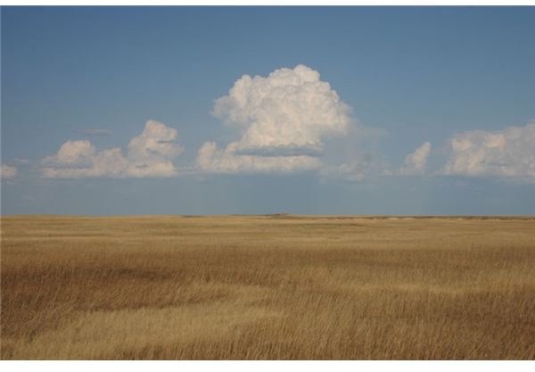 800px-Cumulus Clouds over Yellow Prairie