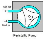 Differences Between the Centrifugal Pump and Positive Displacement Pump