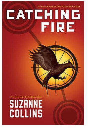 "Catching Fire" Discussion Questions & Section Summaries