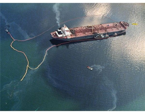 hydraulics 7 ocean Effects Oil Valdez of Cause the & Exxon Spill